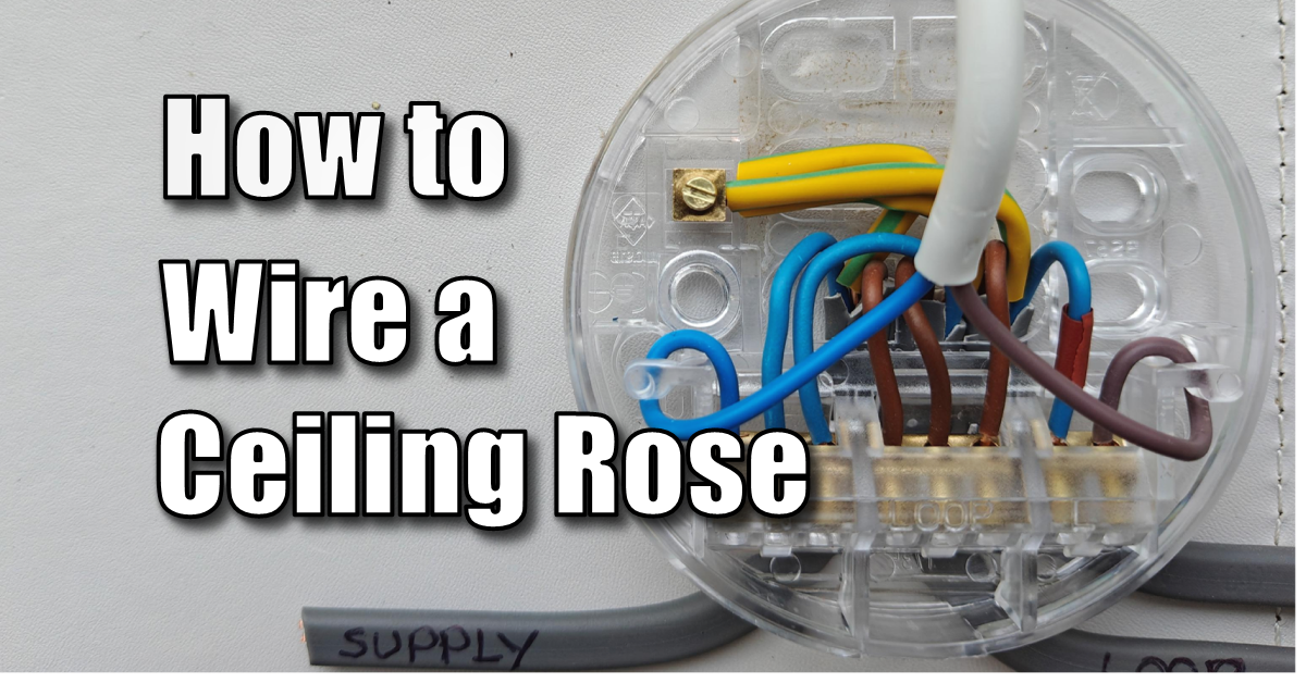 How to wire a ceiling rose